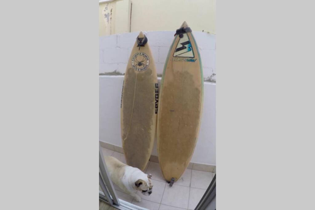 Surfboards Included In Your Stay!!! Tijuana Exterior photo